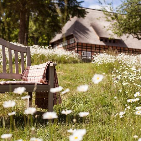Park Am See X Nattika Ayurveda, Hotel Health Spirit Penzlin Bagian luar foto