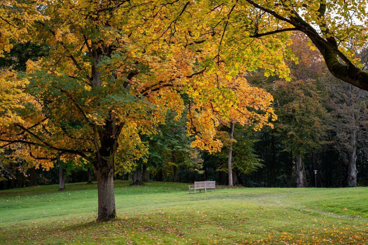 Park Am See X Nattika Ayurveda, Hotel Health Spirit Penzlin Bagian luar foto
